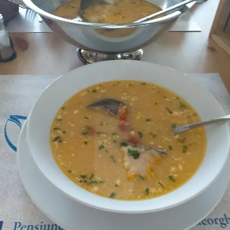 Pensiunea Delta Drill 4* スフントゥ・ゲオルゲ