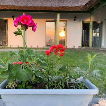 Pensiunea Delta Drill スフントゥ・ゲオルゲ