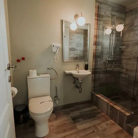 Pensiunea Delta Drill ゲストハウス スフントゥ・ゲオルゲ