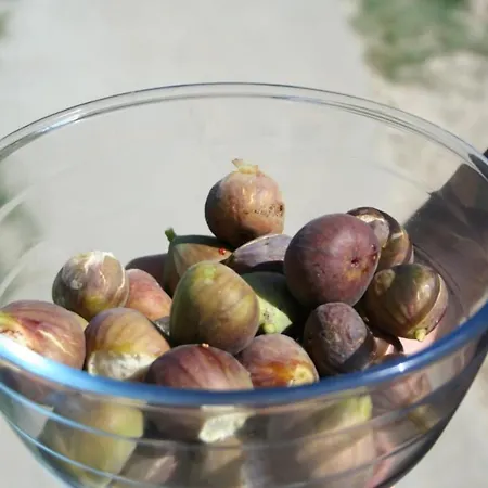 Pensiunea Delta Drill 4*