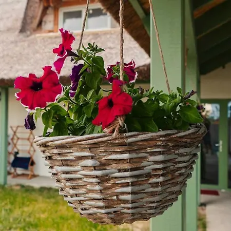 Pensiunea Delta Drill 4* Sfântu Gheorghe